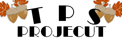 TPS project